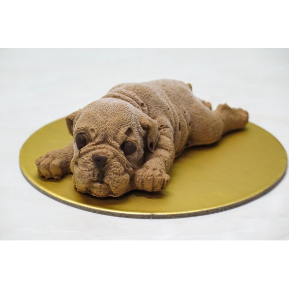 Sleeping Dog Mousse Cake